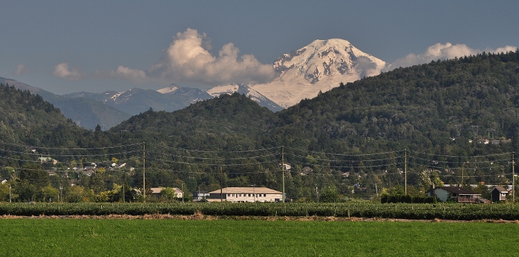 mt baker